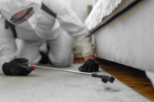 Professional Mosquito Control technician working in Castle Point, MO