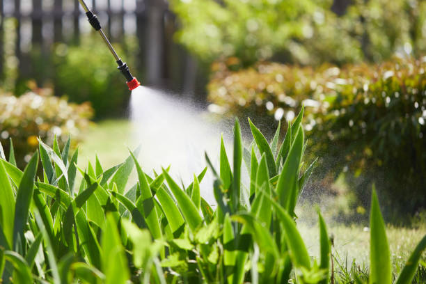 24/7 Emergency Mosquito Control experts in Castle Point, MO
